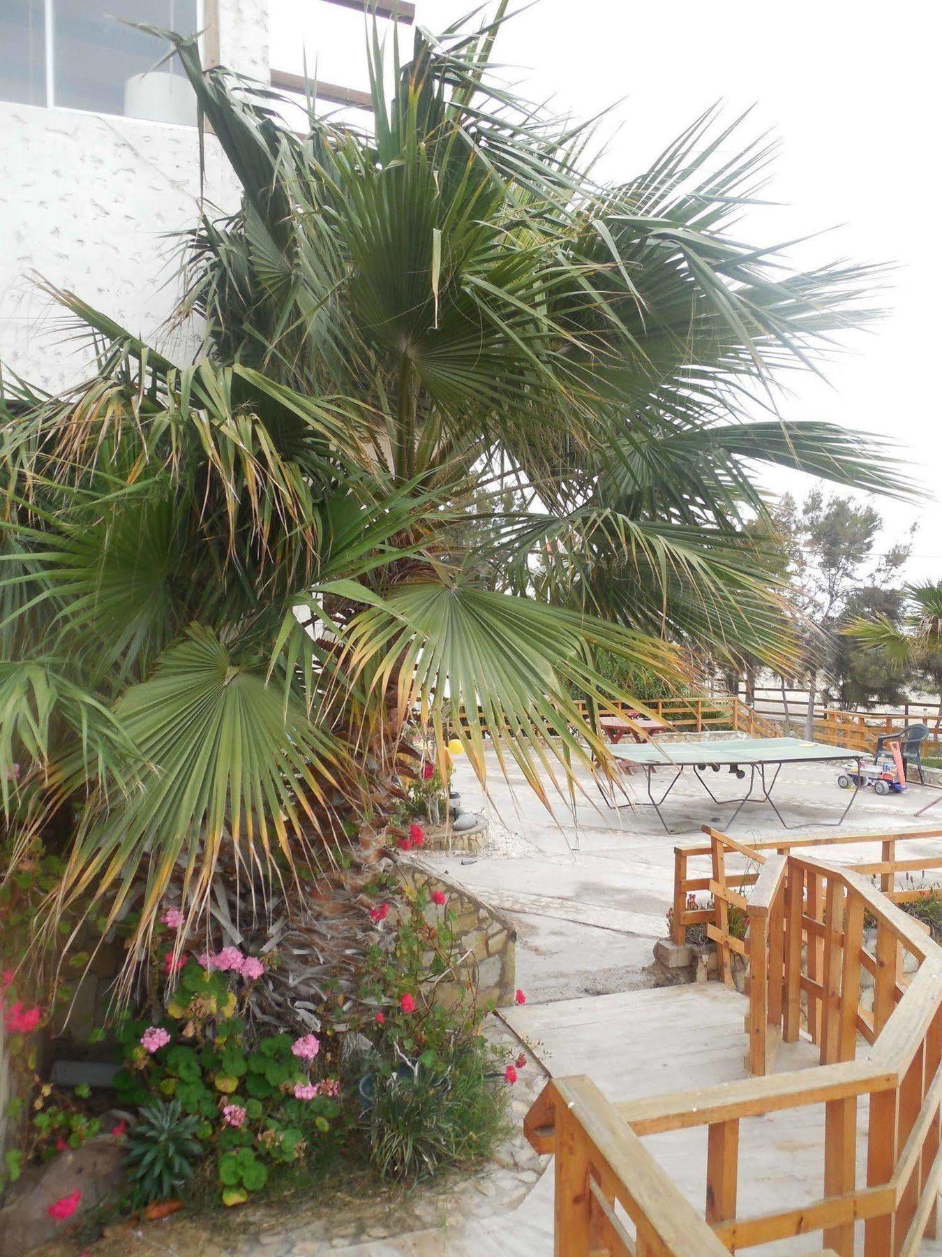 Hotel & Cabanas El Mirador Caldera Exterior photo